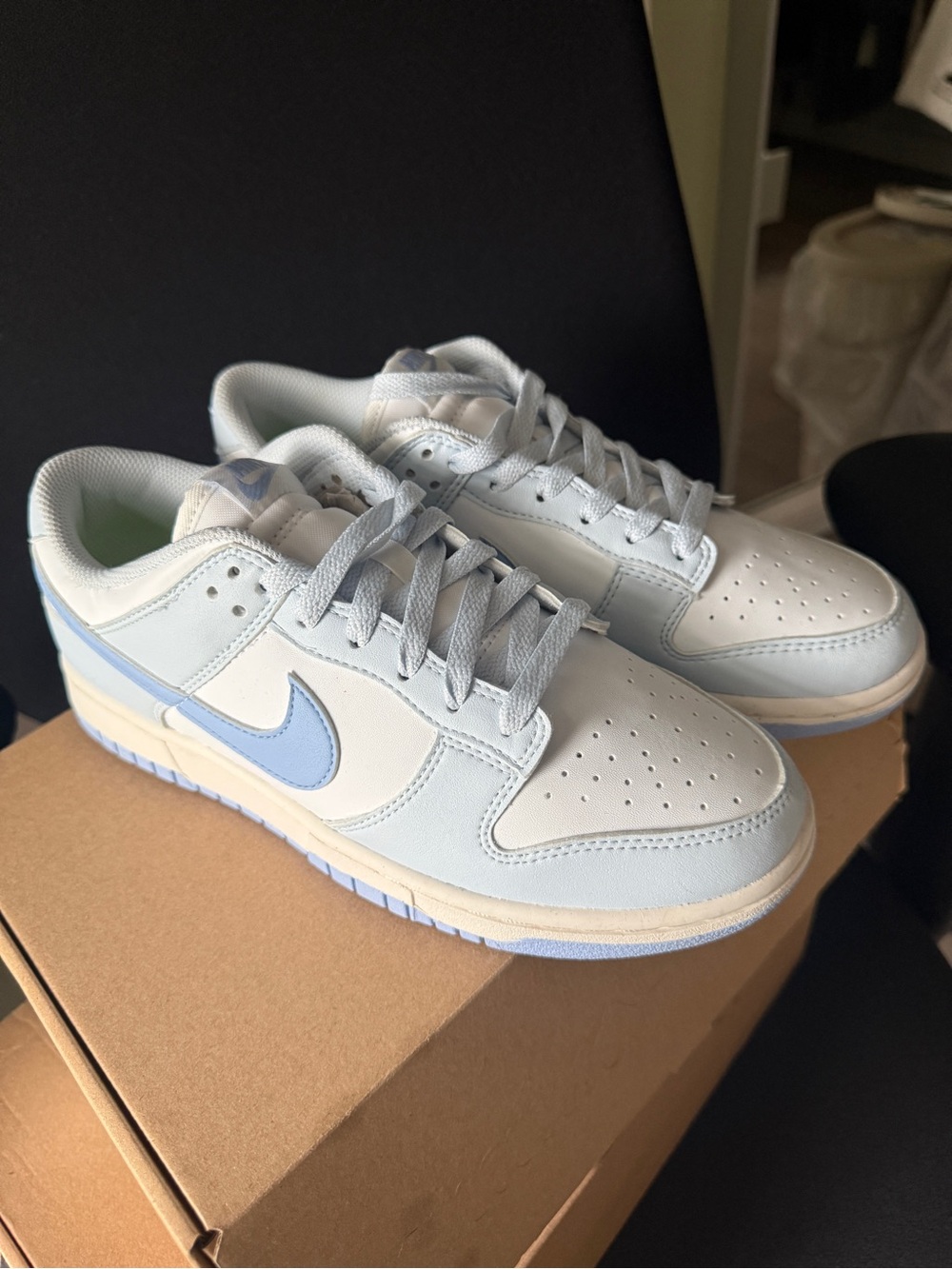 Nike Dunks - BRAND NEW